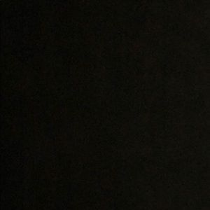 Meet your Posher, Tyra